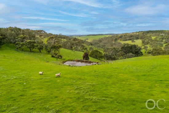 379 Louds Hill Road, Willunga South, SA 5172