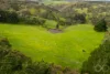 379 Louds Hill Road, Willunga South, SA 5172-Image