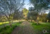 379 Louds Hill Road, Willunga South, SA 5172-Image
