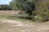 380 Fingerfield Road, Rules Beach, Qld 4674-Image