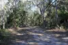 380 Fingerfield Road, Rules Beach, Qld 4674-Image