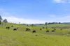 380 Garbutts Road, Wingello, NSW 2579-Image