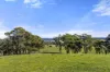 380 Garbutts Road, Wingello, NSW 2579-Image