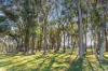380 Garbutts Road, Wingello, NSW 2579-Image