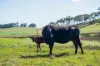 380 Garbutts Road, Wingello, NSW 2579-Image