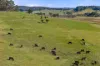 380 Garbutts Road, Wingello, NSW 2579-Image