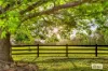 380 George Downes Drive, Central Mangrove, NSW 2250-Image