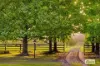 380 George Downes Drive, Central Mangrove, NSW 2250-Image