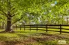 380 George Downes Drive, Central Mangrove, NSW 2250-Image