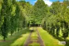 380 George Downes Drive, Central Mangrove, NSW 2250-Image