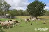 380 Ipswich-Boonah Road, Purga, Qld 4306-Image