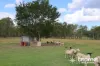 380 Ipswich-Boonah Road, Purga, Qld 4306-Image