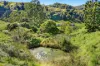 382 Yeager Road, Leycester, NSW 2480-Image