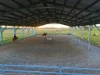 383-425 Wallace Road, Ningi, Qld 4511-Image