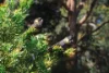 383 Castra Road, Ulverstone, Tas 7315-Image