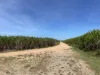 383 Four Mile Road, Braemeadows, Qld 4850-Image