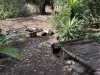 385 Hillsdale Road, Booie, Qld 4610-Image
