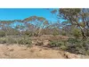 385 Pipeline Road, Fisher, SA 5354-Image