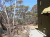 385 Pipeline Road, Fisher, SA 5354-Image