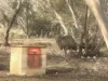 385 Pipeline Road, Fisher, SA 5354-Image