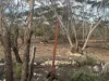385 Pipeline Road, Fisher, SA 5354-Image