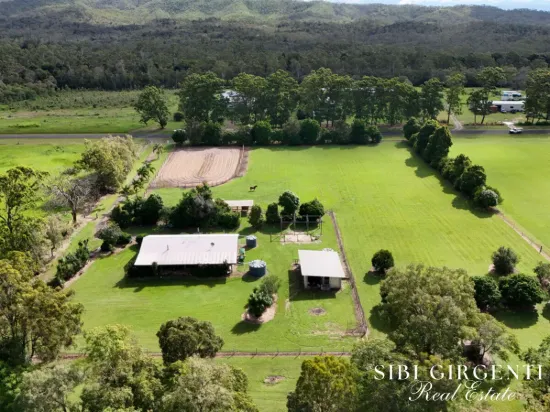 386 Koah Road, Koah, Qld 4881