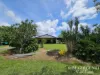 386 Koah Road, Koah, Qld 4881-Image