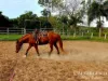 386 Koah Road, Koah, Qld 4881-Image