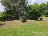 386 Koah Road, Koah, Qld 4881-Image