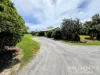 386 Koah Road, Koah, Qld 4881-Image