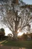 39 Glencoe Road, Longford, Vic 3851-Image