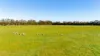 3900 South Western Highway, North Dandalup, WA 6207-Image