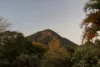 391 Eumundi Range Road, Eumundi, Qld 4562-Image