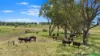 394 Yetman Road, Inverell, NSW 2360-Image