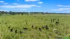 394 Yetman Road, Inverell, NSW 2360-Image