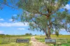 394 Yetman Road, Inverell, NSW 2360-Image