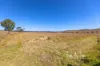 395 Spring Creek Road, Harlin, Qld 4314-Image
