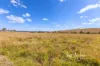 395 Spring Creek Road, Harlin, Qld 4314-Image