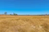 395 Spring Creek Road, Harlin, Qld 4314-Image