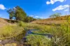 395 Spring Creek Road, Harlin, Qld 4314-Image