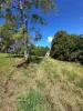396 Tallebudgera Creek Road, Tallebudgera Valley, Qld 4228-Image