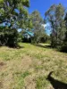 396 Tallebudgera Creek Road, Tallebudgera Valley, Qld 4228-Image