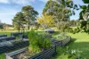 3C Tallow Wood Road, Woodstock, NSW 2793-Image