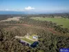 4 Bembridge Road, Somerville, Vic 3912-Image