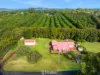 4 Ficus Lane, Dalwood, NSW 2477-Image