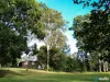 4 Grey Street, Nanango, Qld 4615-Image