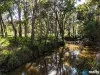 4 Grey Street, Nanango, Qld 4615-Image