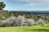 4 Knoll Crescent, Teringie, SA 5072-Image