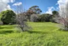 4 Knoll Crescent, Teringie, SA 5072-Image