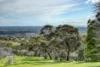 4 Knoll Crescent, Teringie, SA 5072-Image